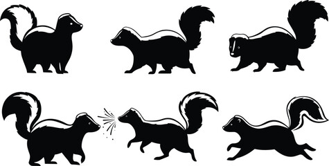 skunk, wildlife, animal, mammal, silhouette, icon, vector, illustration, black, white, walking, running, spraying, posture, anatomy, forest, nocturnal, nature, study, design, behavior
