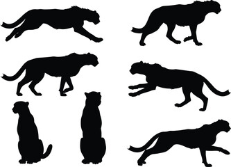 Black silhouette collection of wild cheetah poses, running cheetah, sitting cheetah, walking cheetah, jumping cheetah, fast animal illustration vector design © Moslama