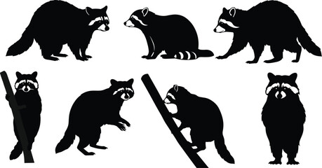 raccoon, wildlife, animal, mammal, silhouette, icon, vector, illustration, black, white, walking, climbing, standing, peeking, posture, anatomy, forest, nocturnal, study, design, behavior