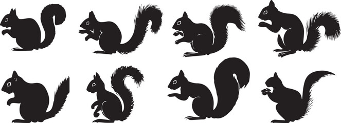Fototapeta premium Vector art of collection of squirrel silhouettes in various poses