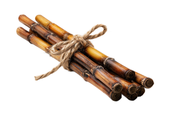 Bundle of bamboo drink stirrers tied with twine, chamfered ends burnished darker, isolated on transparent background.
