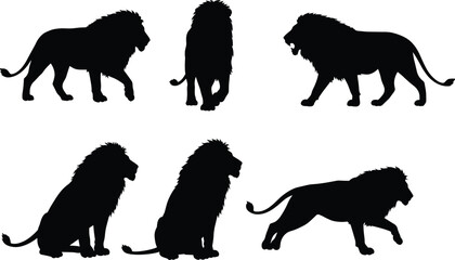 Lion silhouette collection, majestic wild animal poses, walking lion, sitting lion, roaring lion, hunting lion, black outline illustration, wildlife vector