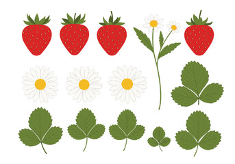 A collection of fresh strawberries and daisy flowers.