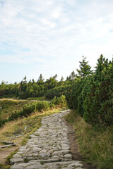 Górska ścieżka w słoneczny dzień © Wiktoria