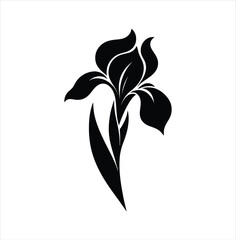 Elegant Iris Flower Illustration A Timeless Symbol of Beauty and Grace in Striking Black and White Design