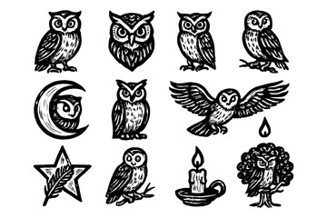 Fototapeta premium Hand-drawn owl collection: vintage black and white nature art with moon and candle motifs