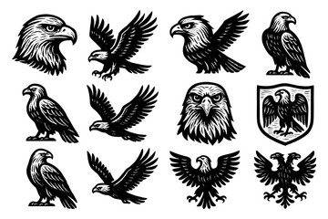 Majestic eagle collection: intricate black and white designs