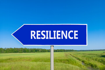Resilience symbol. Concept word Resilience on beautiful blue road sign. Beautiful blue sky green grass and forest peaceful nature background. Business resilience concept. Copy space.