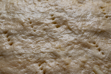 Raw Pie in the Oven