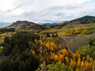 Autumn forest with golden foliage and winding road through valley surrounded by mountains under cloudy sky