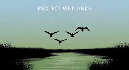 Minimalist poster: “Protect Wetlands” with silhouette of flying birds over water.