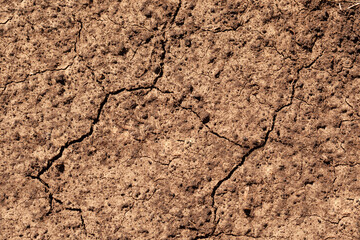 Cracked dry earth showing signs of drought in a rural area with sunlight illuminating the soil