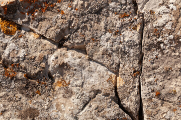 Close-up view of textured rock surface showcasing natural patterns and colors in outdoor setting