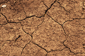 Dry cracked earth signifies drought conditions in a rural landscape during midday sunlight