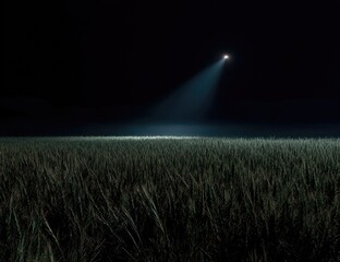 Nighttime field lit by beam