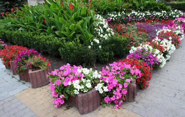 Decorative flower bed arrangement