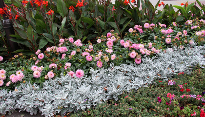 Decorative flower bed arrangement