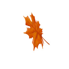 Fototapeta premium A single bright orange maple leaf symbolizing autumn and seasonal change. Perfect for fall designs, botanical art, nature decoration, and seasonal illustrations.