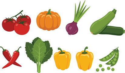 Colorful Vegetable Illustration Set Featuring Tomato, Pumpkin, Onion, Zucchini, Chili, Kale, Bell Pepper, Peas for Healthy Food Concepts