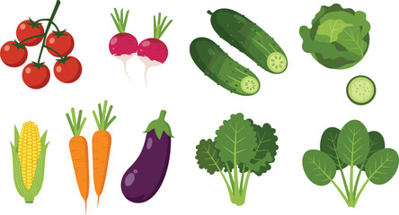 Colorful Vegetable Illustration Set Featuring Tomato, Radish, Cucumber, Cabbage, Corn, Carrot, Eggplant, Broccoli, Spinach for Food Concepts