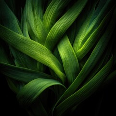 Intricate green leaves intertwined