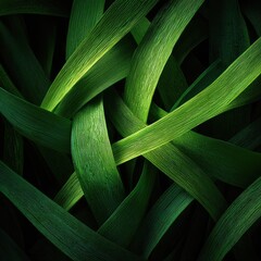 Close-up interwoven green blades