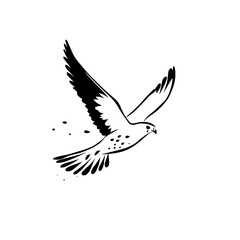 Kestrel. Kestrel simple black and white line art vector logo