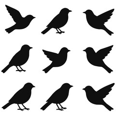 Bird silhouettes in different positions, black vector illustration isolated on white background