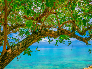 Oil brush effect of the wonderful coast of San Andres island with crystal clear water (Colombia). © Giongi63