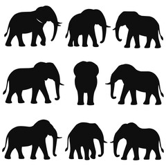 Elephant silhouettes in different positions, black vector illustration isolated on white background
