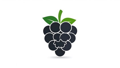 Blackberry graphic design