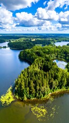 High-angle view of a lake and surrounding forests. Lush green forests hug a lake's edge, with winding waterways and inlets.  Clear blue sky with puffy white clouds