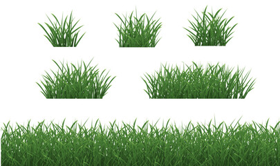 Grass Borders Set With Isolated White Background