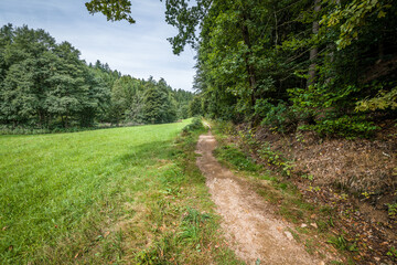 Landschaft im Höllbachtal im Naturschutzgebiet bei dem Rundwanderweg in Rettenbach bei Falkenstein in Bayern, Deutschland
