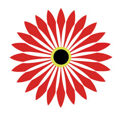 Gerbera flower logo icon vector on white background