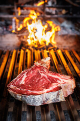 photography, steak, meat, color image, italy, no people, food and drink, horizontal, beef, tuscany, freshness, food, close-up, italian food, italian culture, grilled, raw food, restaurant, barbecue - 