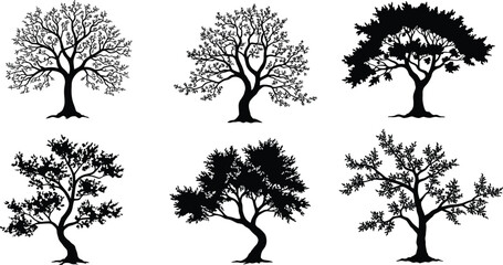 Black silhouette vector illustration of six different deciduous tree shapes with unique branching patterns, natural forest elements for landscape artwork design