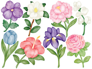 Watercolor Flower Clip Art Set Hand Painted Rose Peony Iris Tulip Hibiscus Orchid Gardenia Violet Vector Illustration