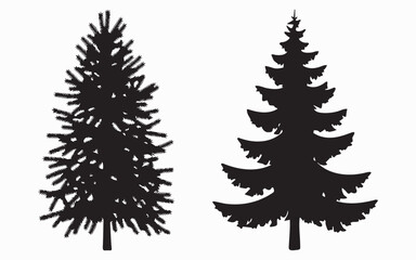 Pine tree forest nature Christmas evergreen silhouette woodland conifer outdoor branch winter plant season design vector art on white background