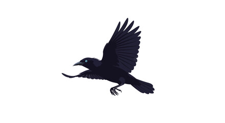 Black Crow in Flight with Wings Spread Wide.