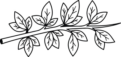 Vector botanical branch with leaves outline silhouette design