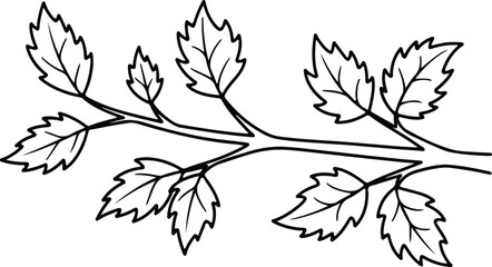 Vector Branch with leaves simple linear silhouette design