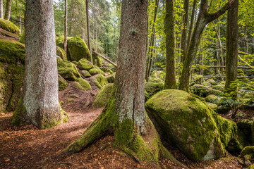 Megalith Steine im Höllbachtal im Naturschutzgebiet bei dem Rundwanderweg in Rettenbach bei Falkenstein in Bayern, Deutschland