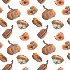 Watercolor seamless pattern with whole pumpkins, squash, mushroom, and cut pumpkin slices. Autumn harvest illustration for Thanksgiving, fall decor, wrapping paper, kitchen textiles, and seasonal