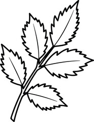 Vector Rose leaf branch detailed organic drawing silhouette design