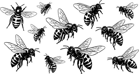 Sketched set of bees silhouettes isolated
