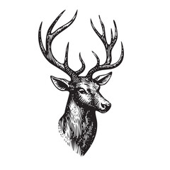 Vintage Engraving Deer Illustration