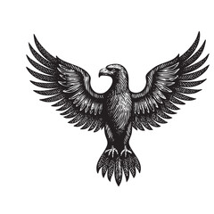 eagle flying vintage engraving