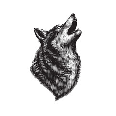 Vintage Engraving Howling Wolf Illustration