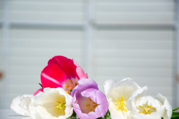 A vibrant assortment of tulips, featuring pink, purple, and white blooms, displayed against a light background during sunny weather